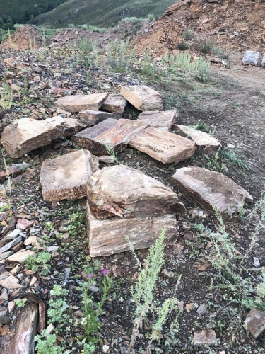 Плитняк кора дерева 50-100мм для пошаговых дорожек купить в Чистополе